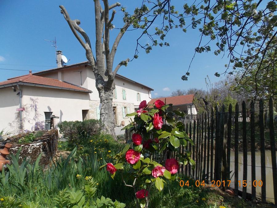 Chambres et table d'hotes 38 Bellegarde Poussieu, 30 mn sud Vienne, 65 km sud Lyon, A7 sortie Chanas, face au Vercors, La mare du vieux chene