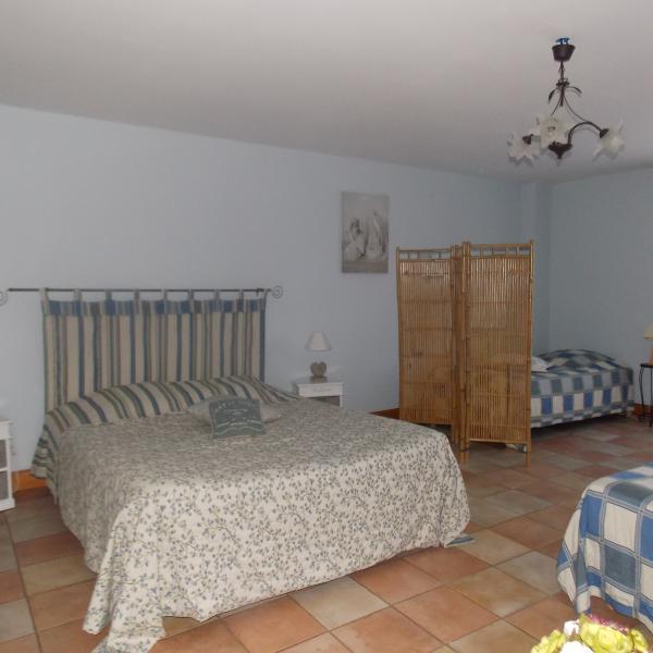 Chambres et table d'hotes 38 Bellegarde Poussieu, 30 mn sud Vienne, 65 km sud Lyon, A7 sortie Chanas, face au Vercors, La mare du vieux chene