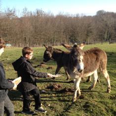 Chambres et table d'hotes 38 Bellegarde Poussieu, 30 mn sud Vienne, 65 km sud Lyon, A7 sortie Chanas, face au Vercors, La mare du vieux chene