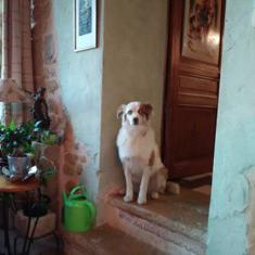 Chambres et table d'hotes 38 Bellegarde Poussieu, 30 mn sud Vienne, 65 km sud Lyon, A7 sortie Chanas, face au Vercors, La mare du vieux chene