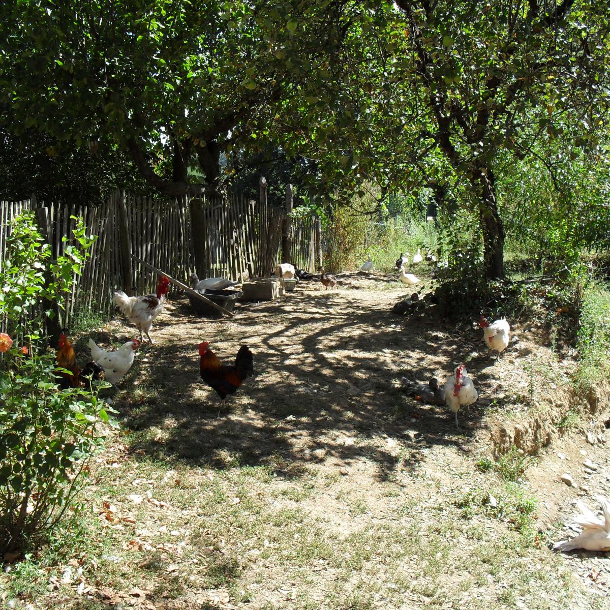 Chambres et table d'hotes 38 Bellegarde Poussieu, 30 mn sud Vienne, 65 km sud Lyon, A7 sortie Chanas, face au Vercors, La mare du vieux chene