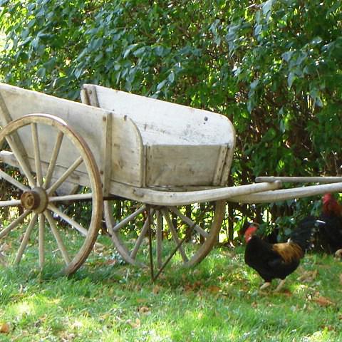 Chambres et table d'hotes 38 Bellegarde Poussieu, 30 mn sud Vienne, 65 km sud Lyon, A7 sortie Chanas, face au Vercors, La mare du vieux chene
