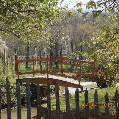 Chambres et table d'hotes 38 Bellegarde Poussieu, 30 mn sud Vienne, 65 km sud Lyon, A7 sortie Chanas, face au Vercors, La mare du vieux chene