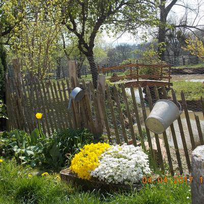 Chambres et table d'hotes 38 Bellegarde Poussieu, 30 mn sud Vienne, 65 km sud Lyon, A7 sortie Chanas, face au Vercors, La mare du vieux chene