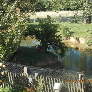 Chambres et table d'hotes 38 Bellegarde Poussieu, 30 mn sud Vienne, 65 km sud Lyon, A7 sortie Chanas, face au Vercors, La mare du vieux chene