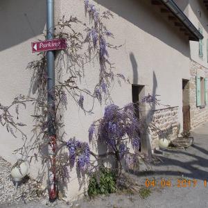 Chambres et table d'hotes 38 Bellegarde Poussieu, 30 mn sud Vienne, 65 km sud Lyon, A7 sortie Chanas, face au Vercors, La mare du vieux chene