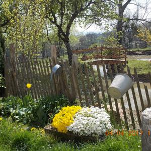 Chambres et table d'hotes 38 Bellegarde Poussieu, 30 mn sud Vienne, 65 km sud Lyon, A7 sortie Chanas, face au Vercors, La mare du vieux chene